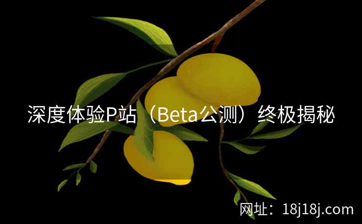 深度体验P站（Beta公测）终极揭秘