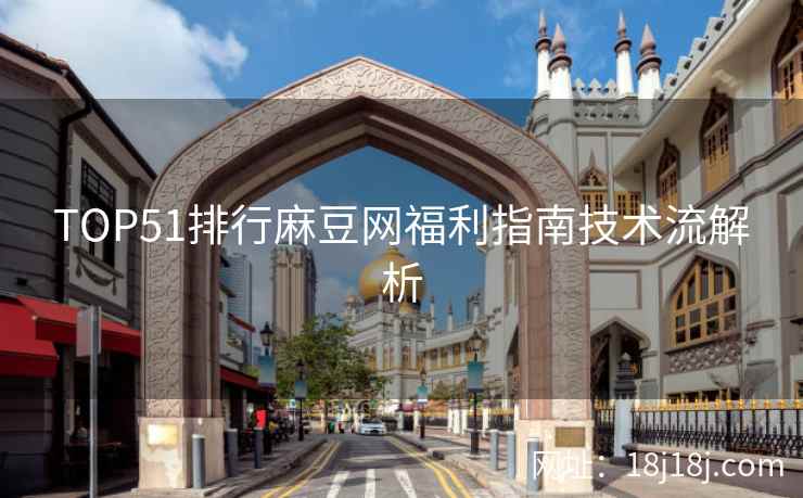 TOP51排行麻豆网福利指南技术流解析