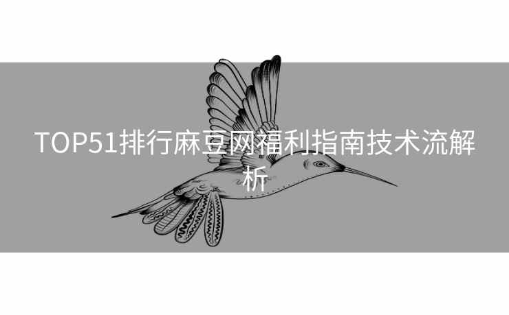 TOP51排行麻豆网福利指南技术流解析